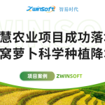 智易時代智慧農(nóng)業(yè)項目成功落地，助力沙窩蘿卜科學種植降本增效！